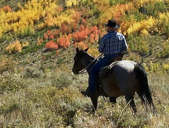 Denver Life & Casual Travelist Feature