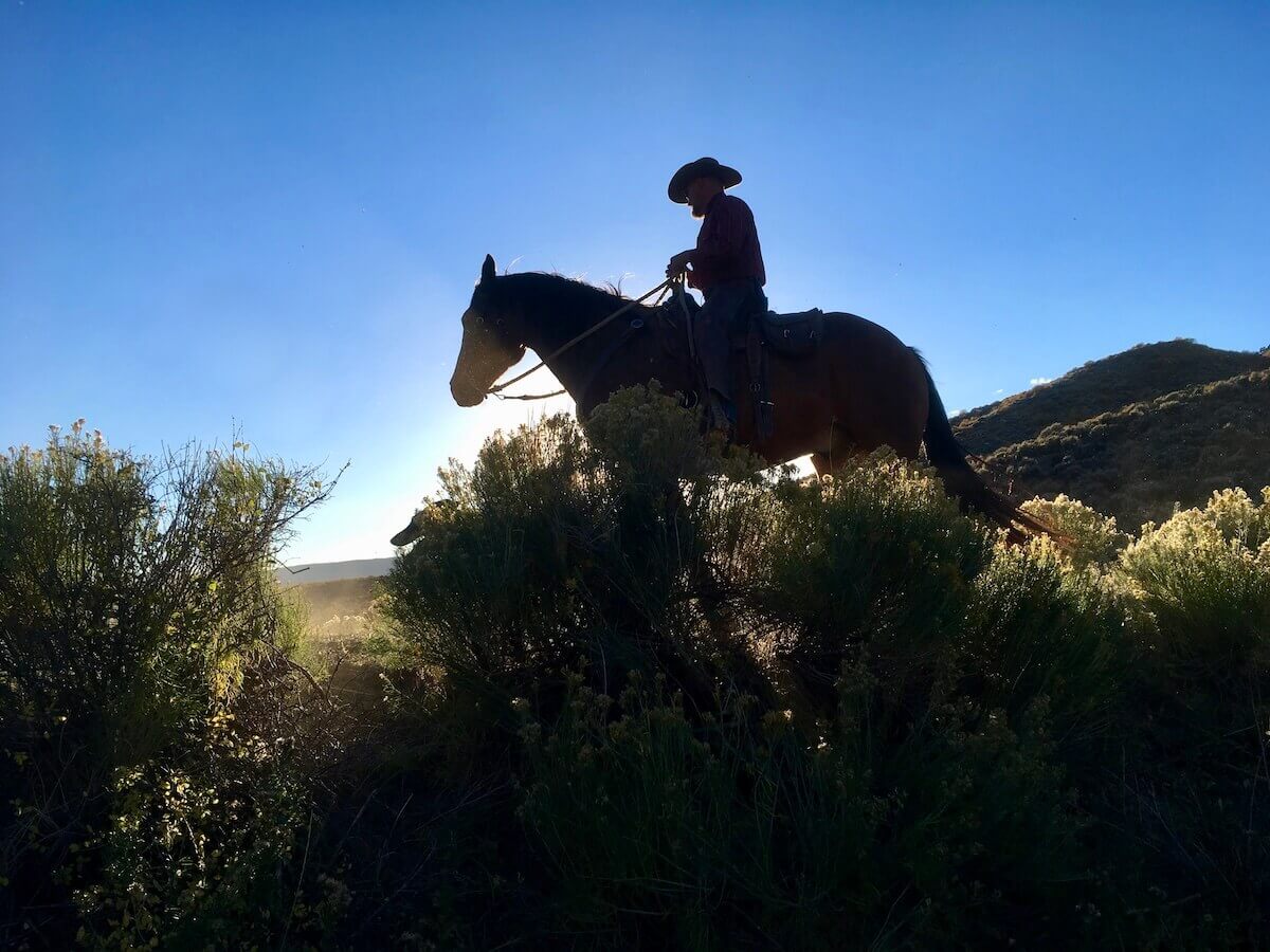 History of Cowboy Culture in the West