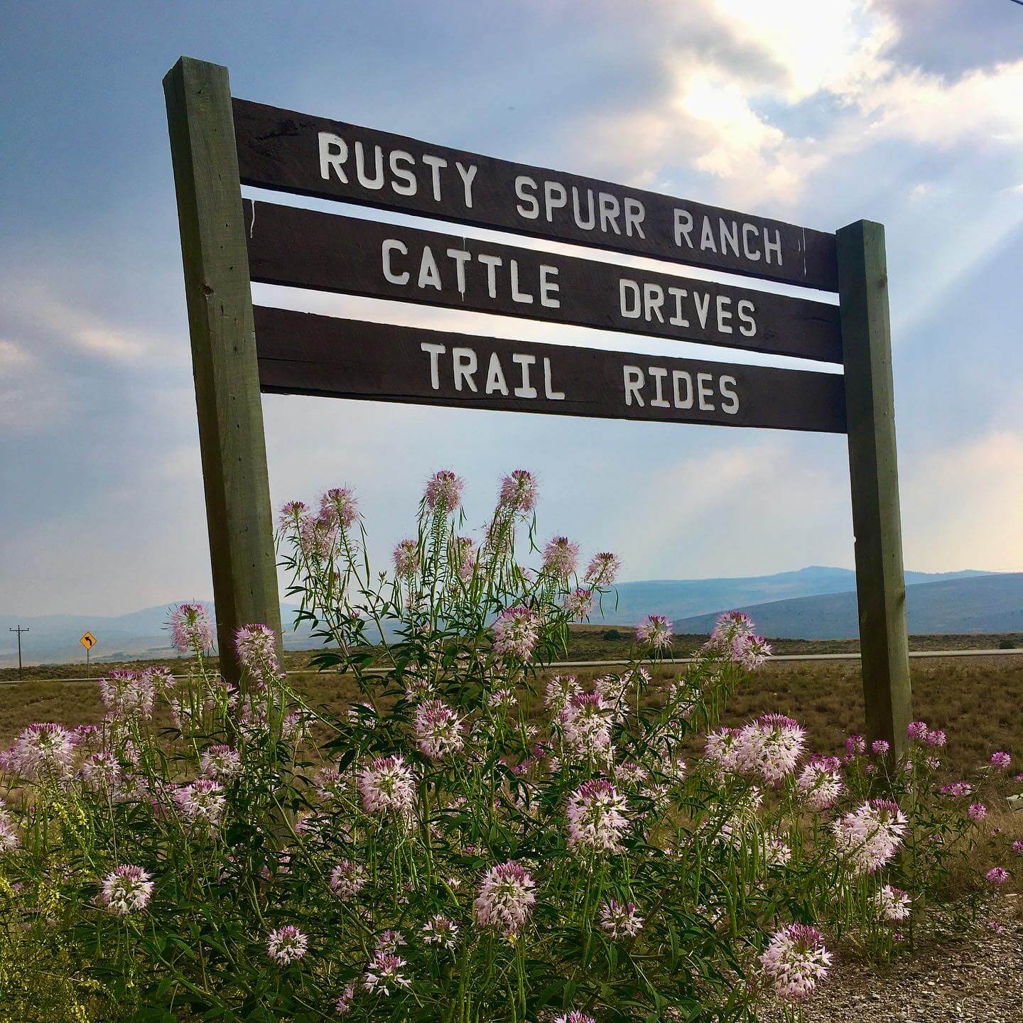 Thank You for Your Reviews