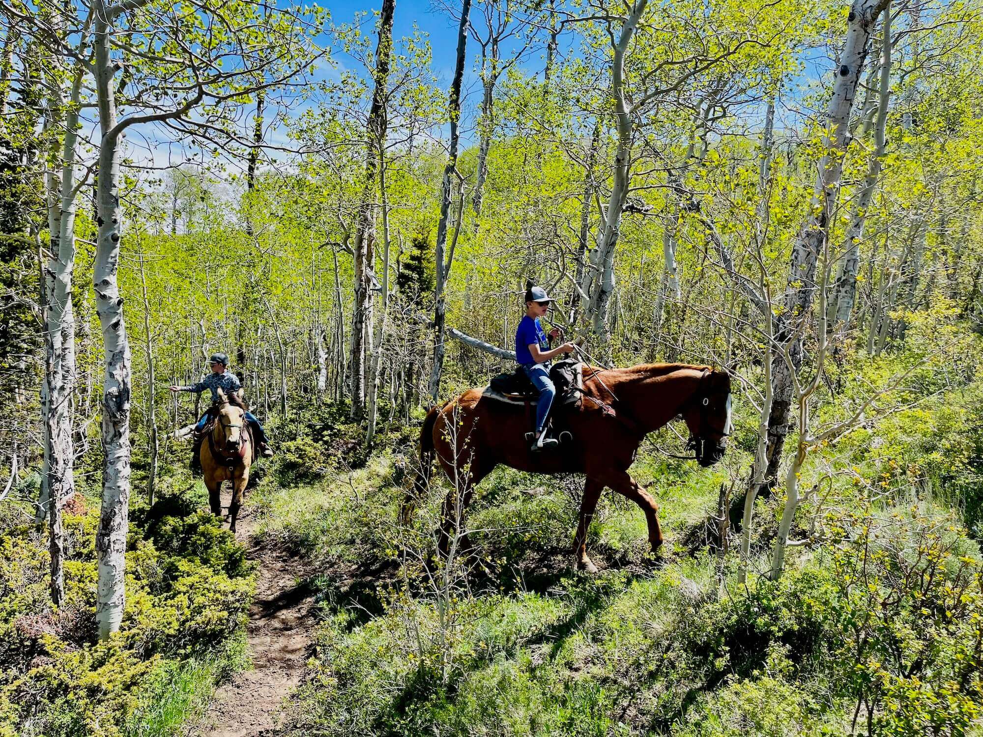 Trail Riding Tips & Environmental Safety