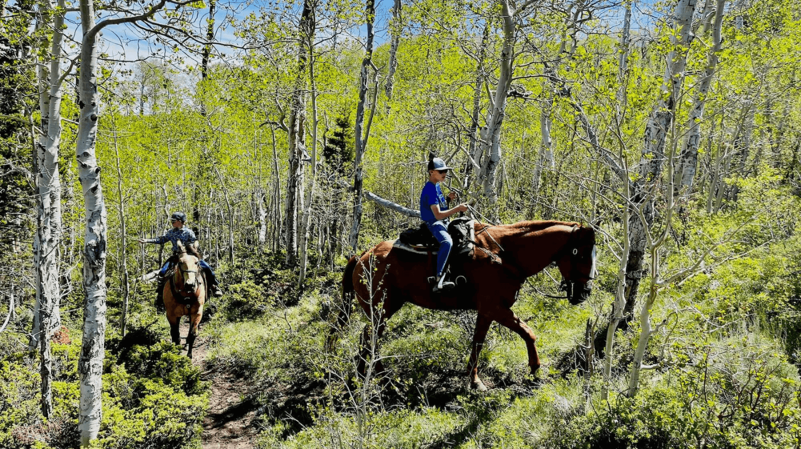 Secret Colorado Horseback Trails