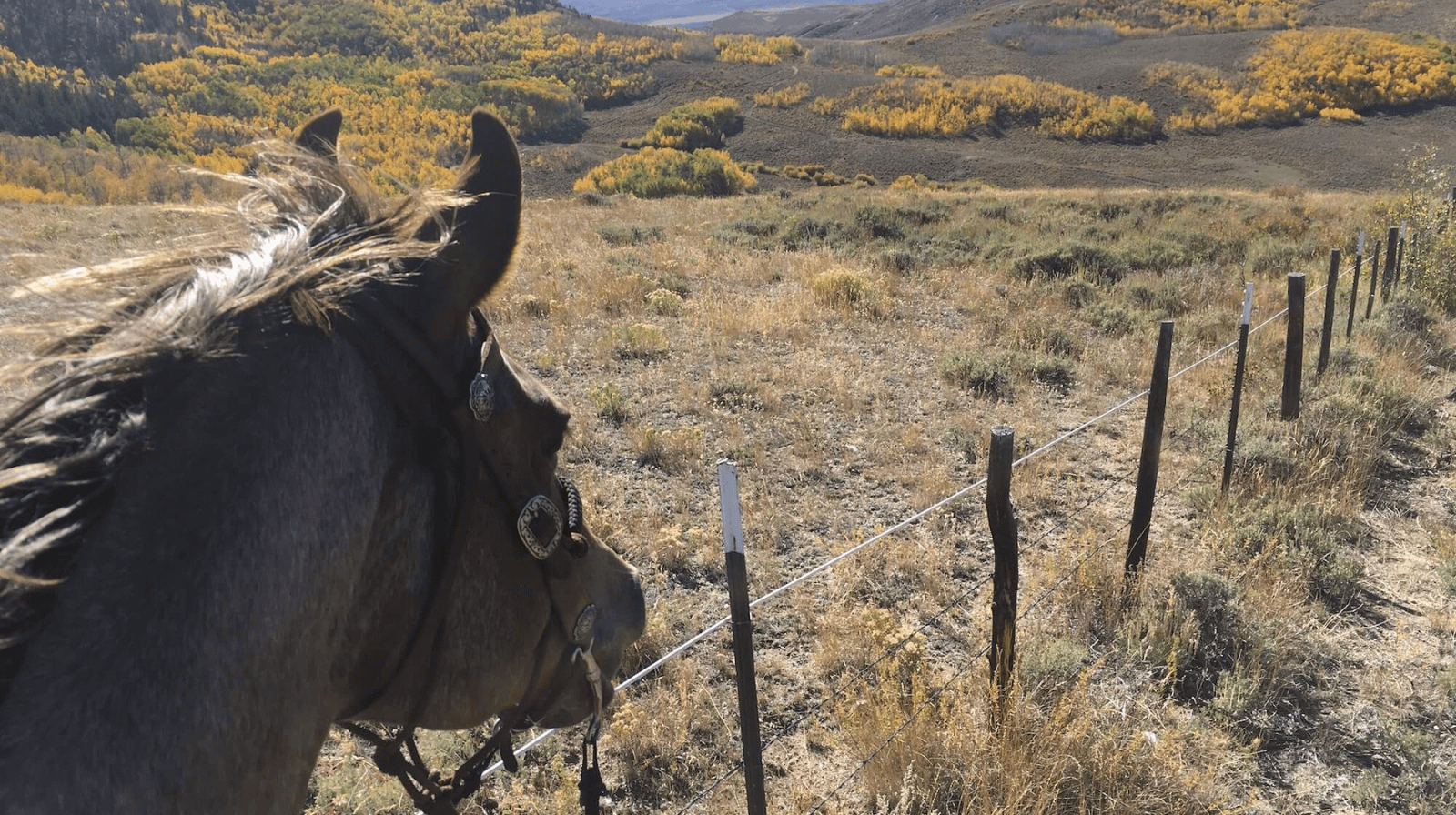 Historic Horseback Trails