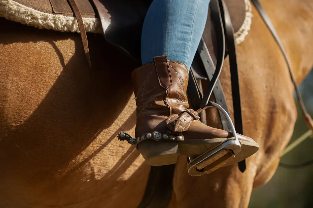 basics of horseback riding gear