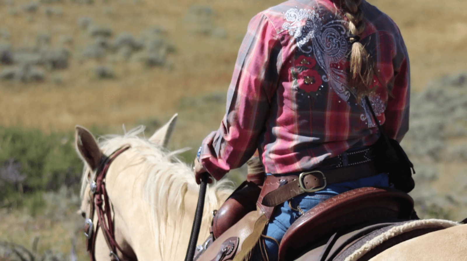 Beginner Safety Tips for Horseback Riding