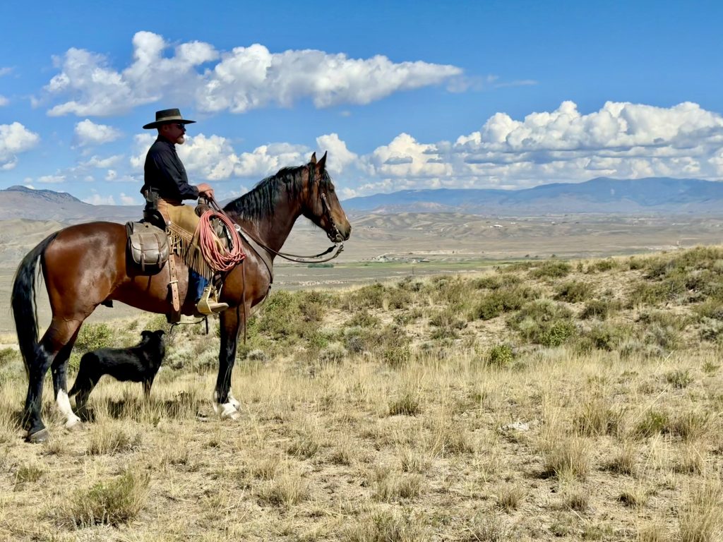 A cowboy is enjoying the view of his ranch while riding a horse on a sunny day.