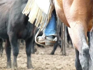 wearing appropriate gear