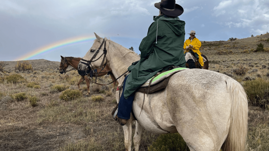 Weather Riding Advice