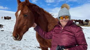 Animal Photography on Horseback