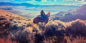 bachelorette riding into sunset