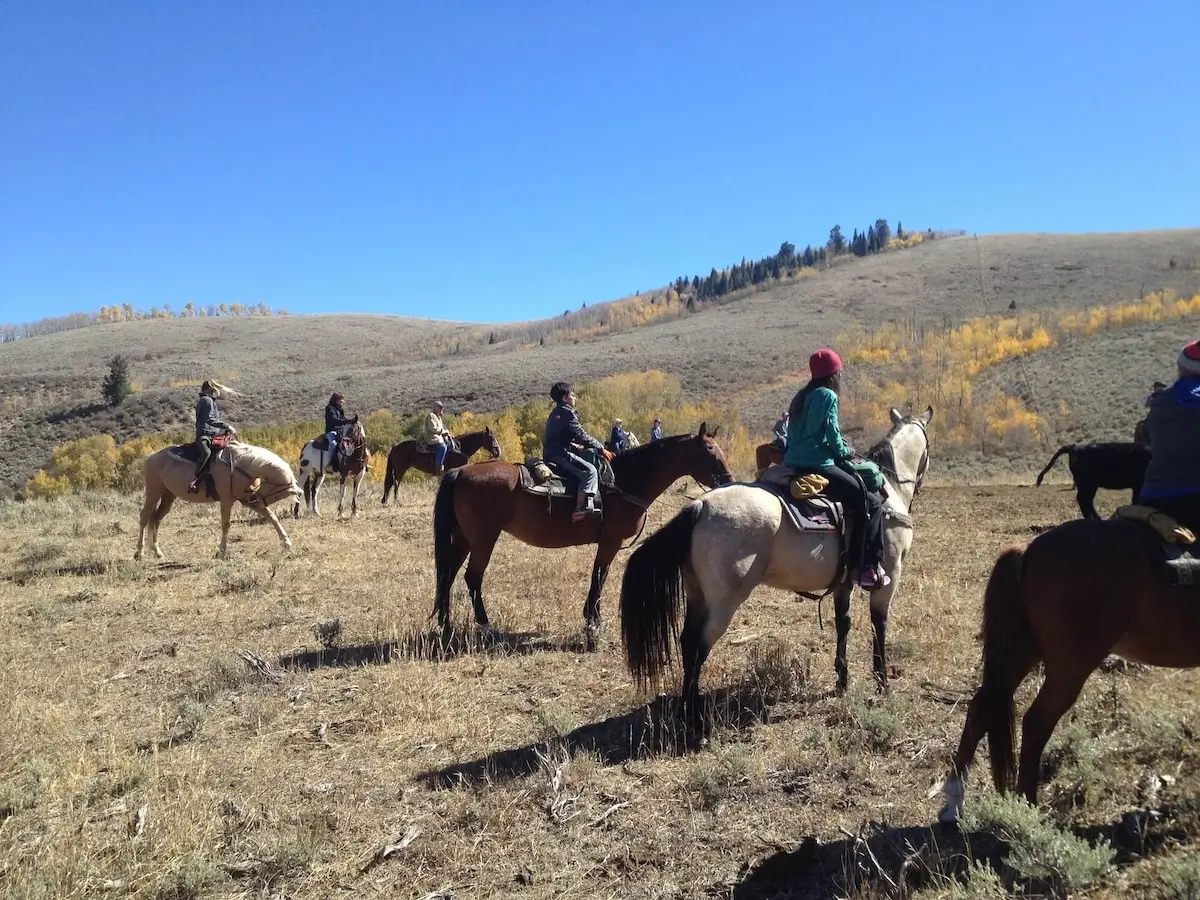 colorado horseback riding vs trail rides what’s the difference
