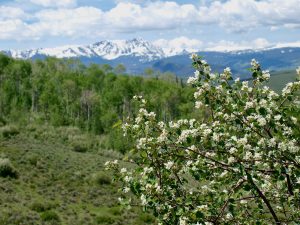 Expansive Colorado mountain views seen from the open pastures at Rusty Spurr Ranch.