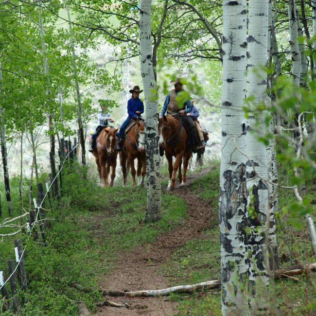 Family enjoying a guided trail ride experience with mountain views at Rusty Spurr Ranch in Colorado.