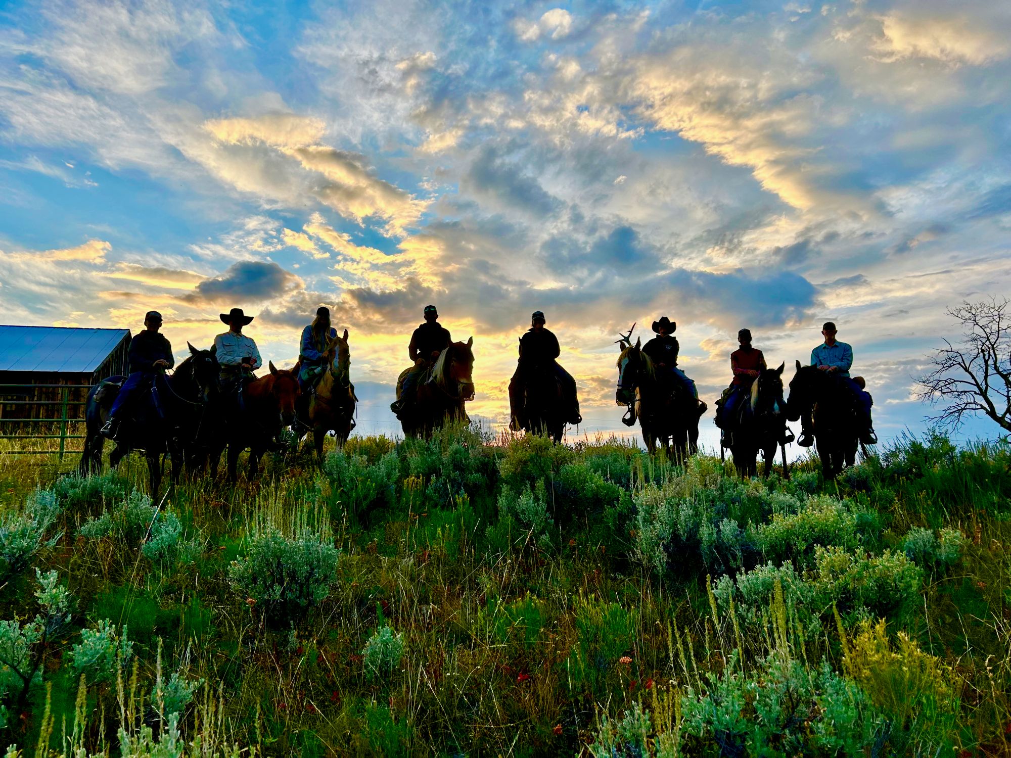 Group Horseback Riding Tours in Colorado