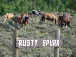 Horse standing beside the rustic wooden Rusty Spurr Ranch sign with mountain views in the background in Colorado.
