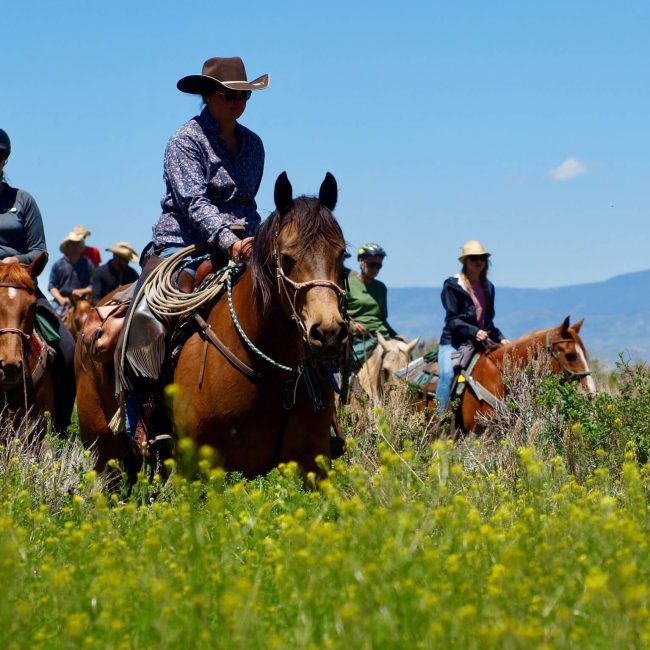 Riders on horseback taking in a scenic mountain view during a trail ride at Rusty Spurr Ranch in Colorado.