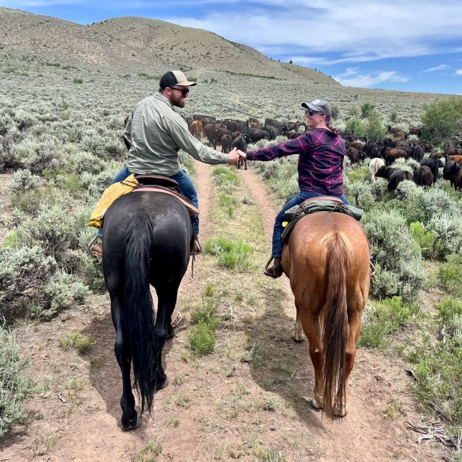 colorado horseback proposal at rusty spurr ranch