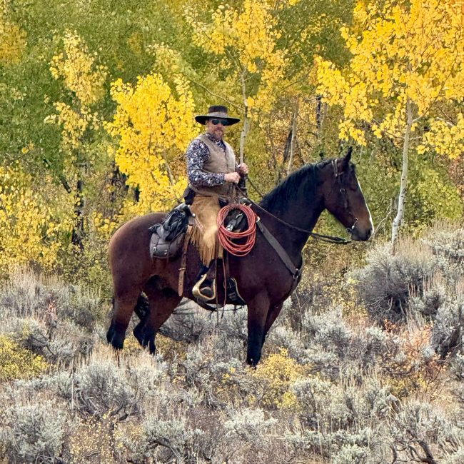 One of the horseback riding guides featured on his horse in the Colorado autumn months with golden leaves in the background while on a private horseback riding tour at Rusty Spurr Ranch.