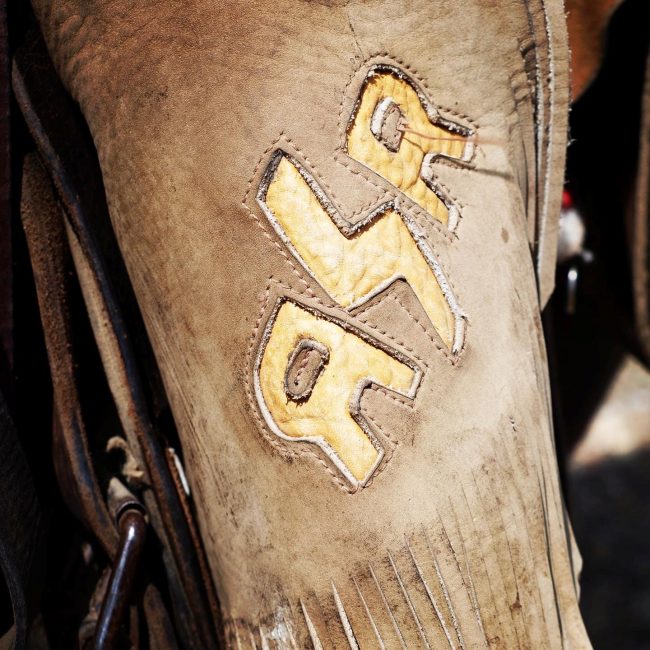 rusty spurr ranch horseback riding tours in colorado