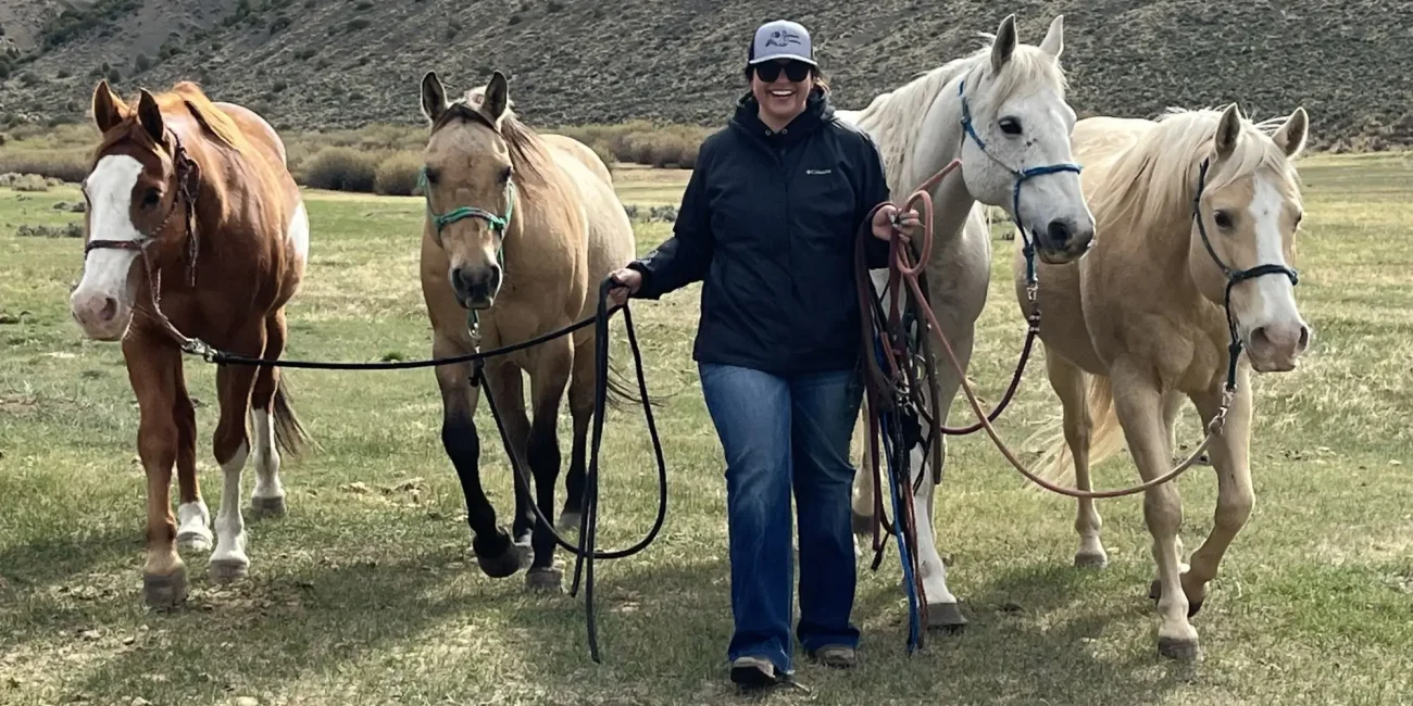 apply for employment as a horse wrangler