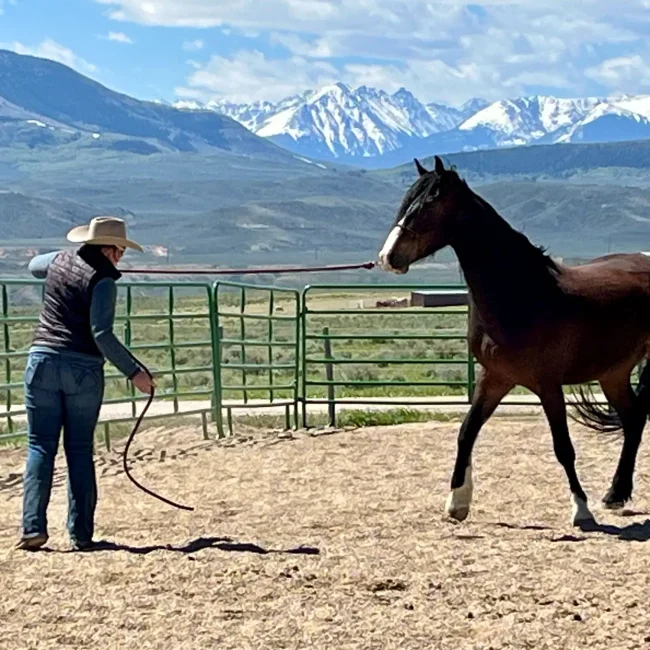 employment at rusty spurr ranch