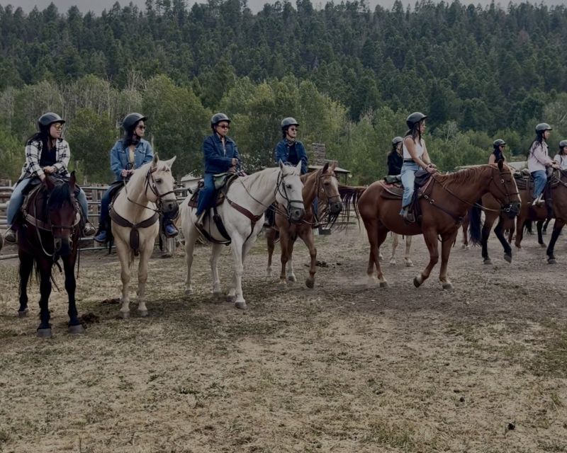 family reunion horseback riding tours in colorado