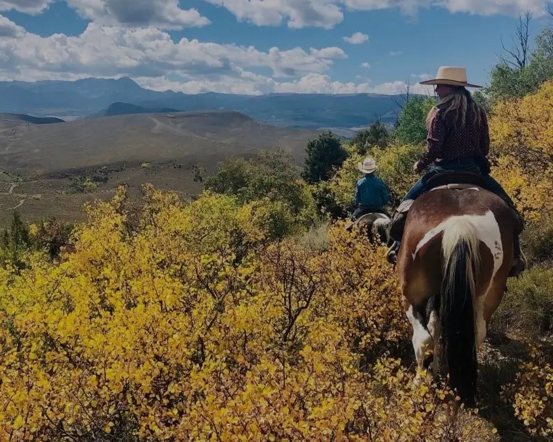 top rated horseback trail rides in Colorado