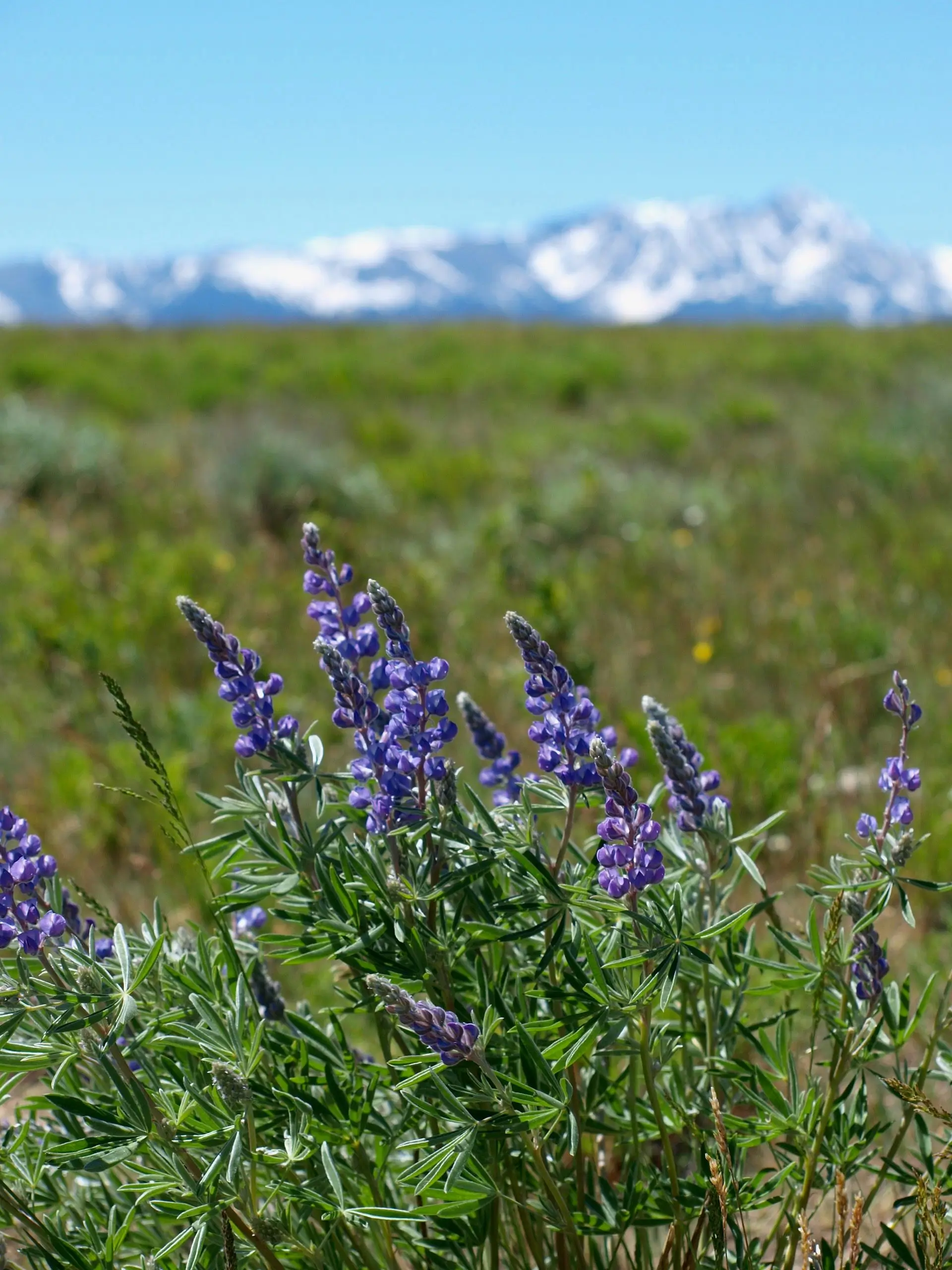 best horseback riding tours near grand lake