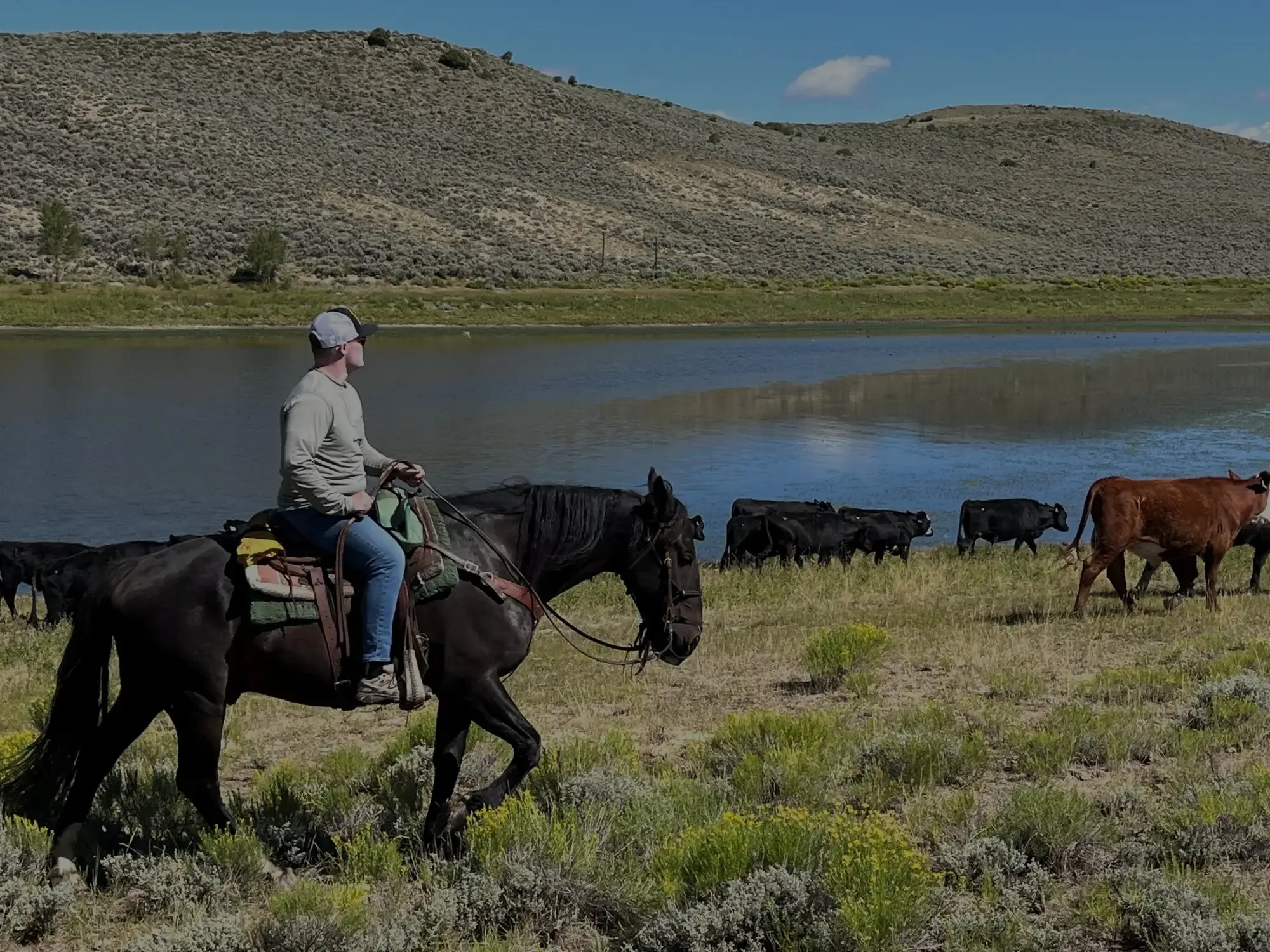 horseback riding tours near winter park colorado
