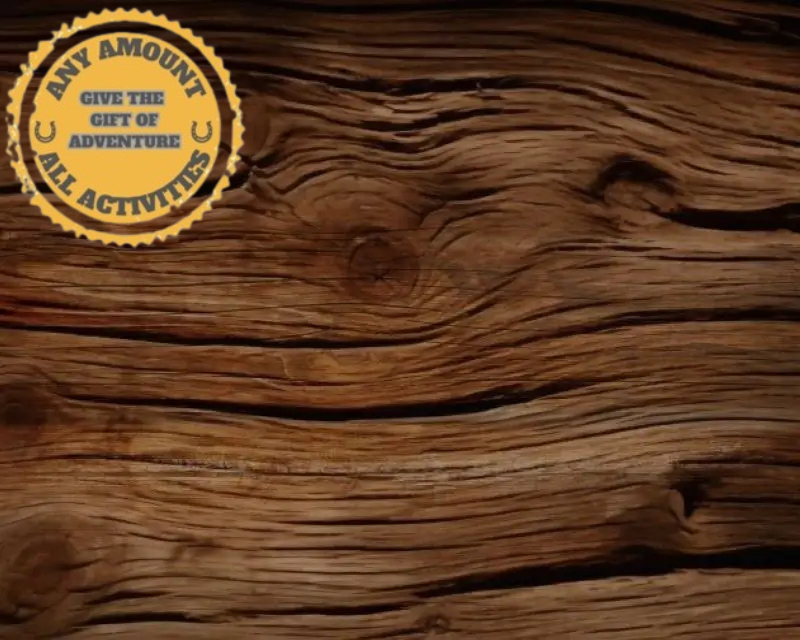 Colorado Horseback Riding Gift Certificates