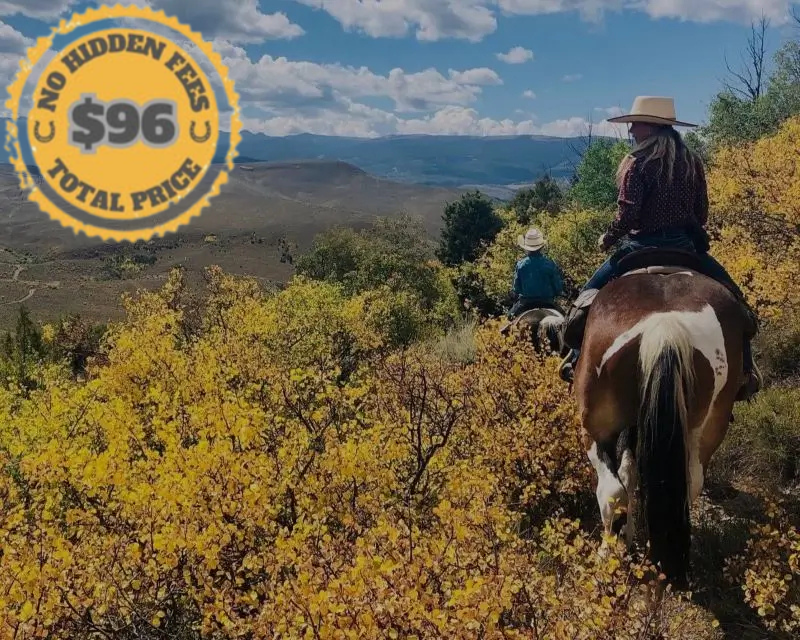 top rated horseback trail rides in colorado