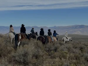 colorado team building with Group horseback riding through open terrain in Colorado wilderness