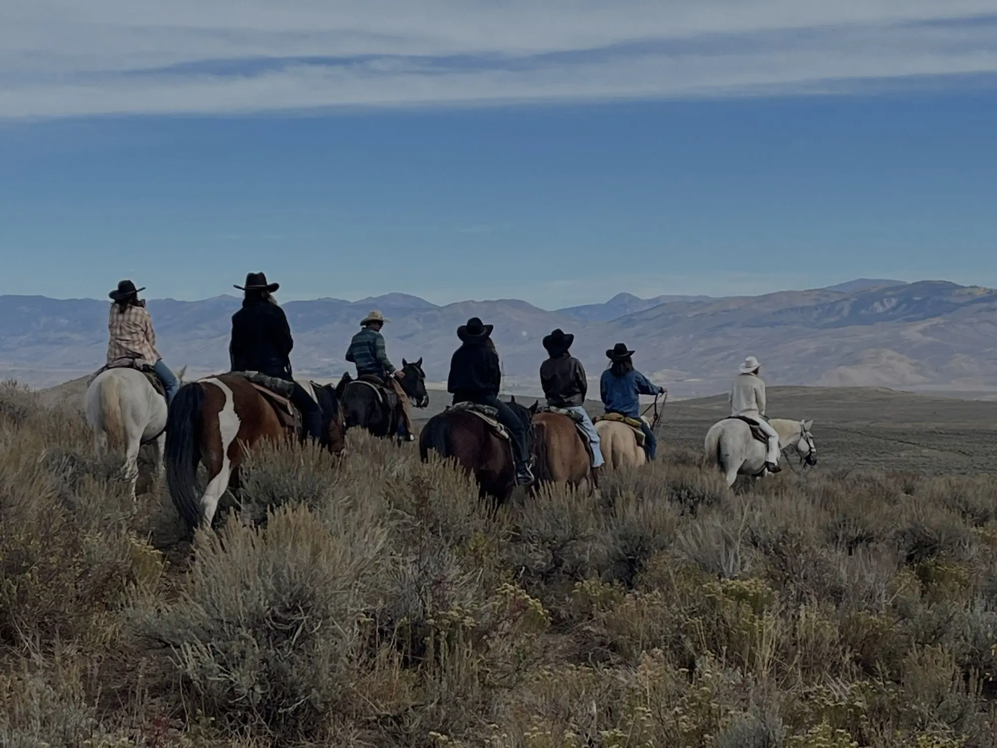 colorado team building with Group horseback riding through open terrain in Colorado wilderness