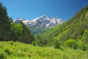 buena vista collegiate peaks