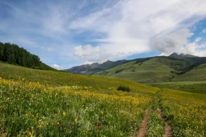 crested butte