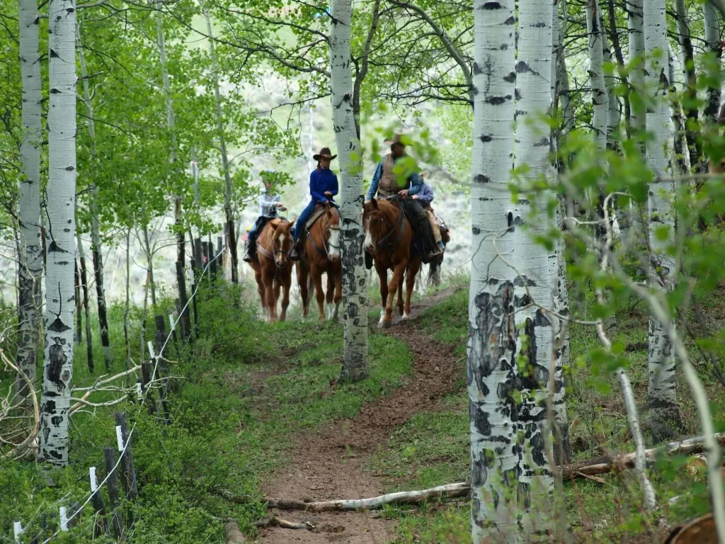 Family enjoying a guided horseback ride through Colorado aspen trees