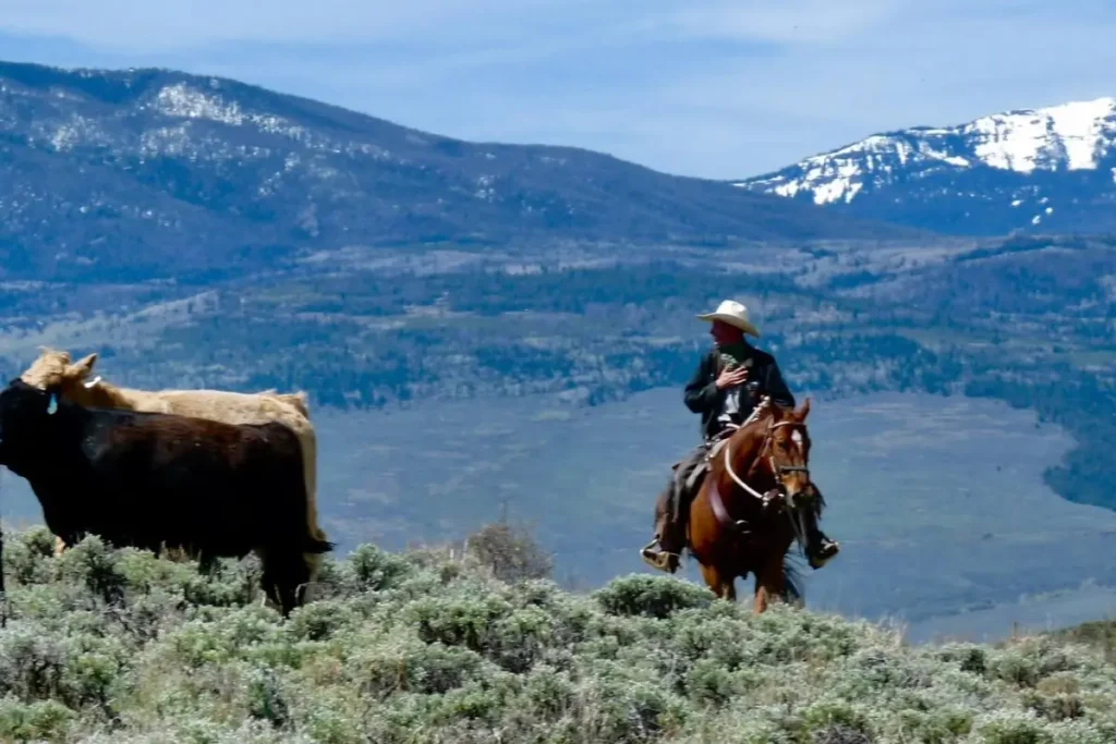how long is the best horseback ride
