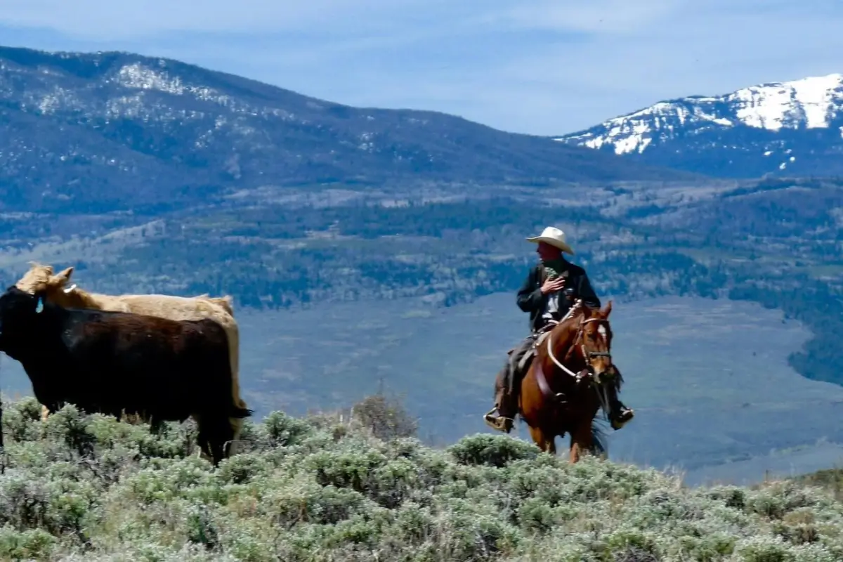 how long is the best horseback ride