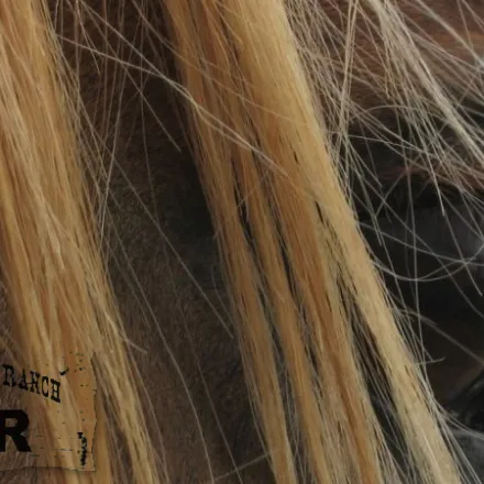 a close up of a woman