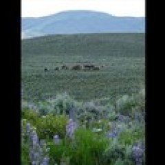 a view of a mountain