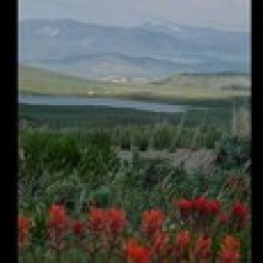 a view of a mountain