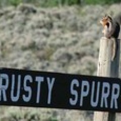 a sign on a wooden pole