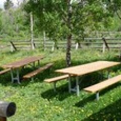a wooden bench in a grassy area