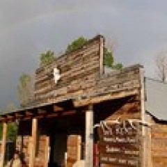 a house with trees in the background