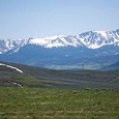 a field with a mountain in the background