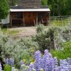 a house with trees in the background