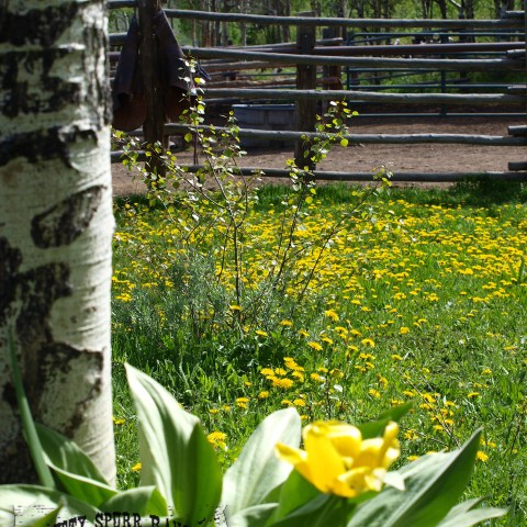 a vase of flowers sitting on a bench