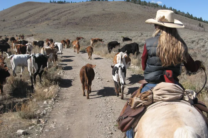 a group of people riding on the back of a horse