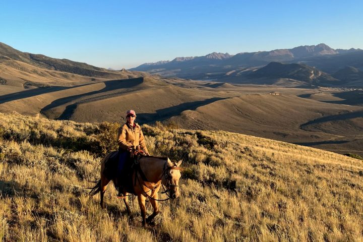 A serene moment captured as a horseback rider contemplates a Colorado mountain vista, highlighting the joy of relaxed riding.