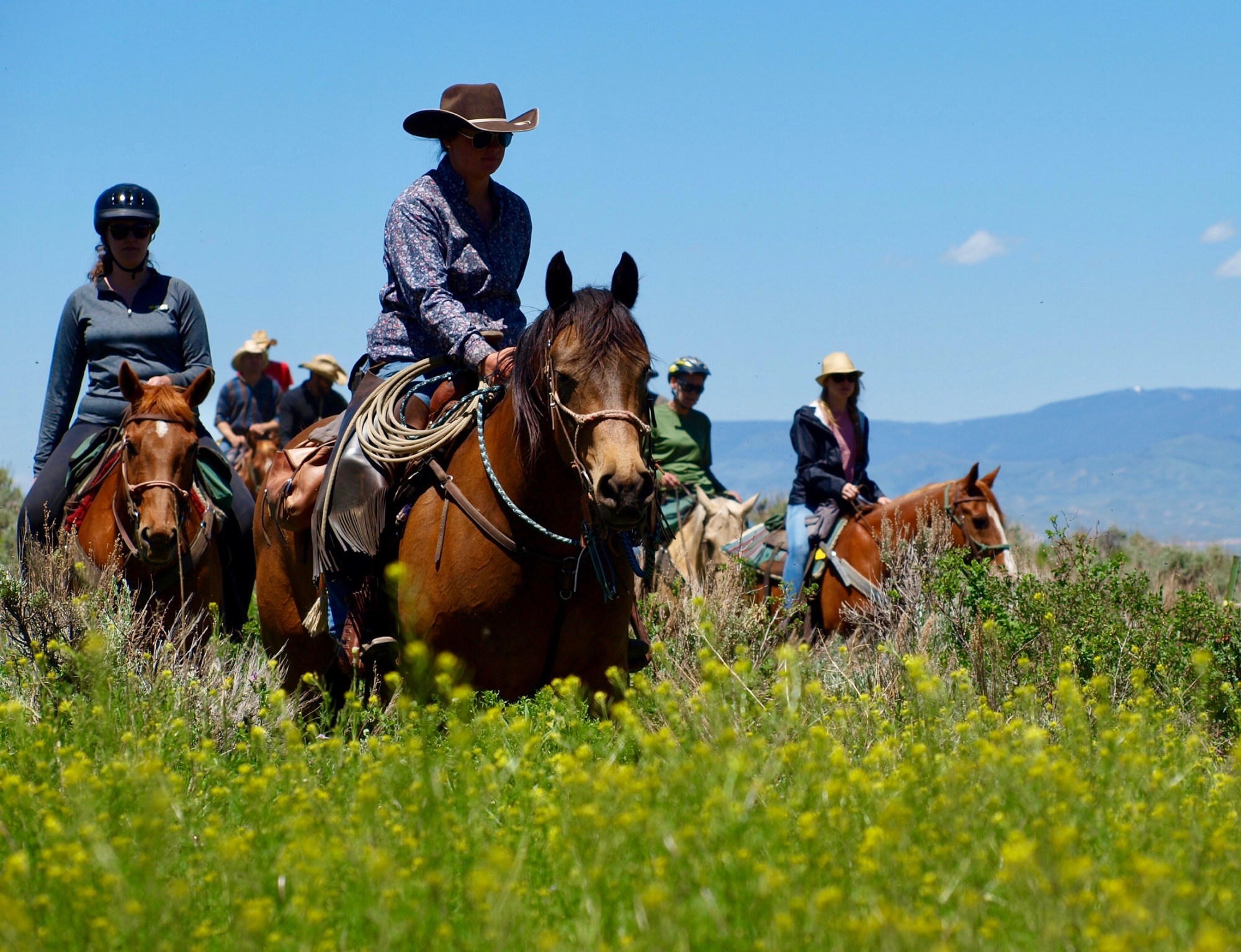 Horseback riding at Rusty Spurr Ranch Equestrian group riding through a vibrant Colorado meadow filled with wildflowers, illustrating a perfect mid-day riding scene.