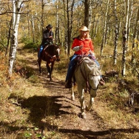 a person riding a horse in a forest